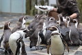 ZOO Praha 2023 ZOO Praha 2023