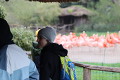 ZOO Praha 2023 ZOO Praha 2023