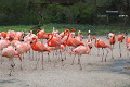 ZOO Praha 2023 ZOO Praha 2023