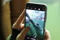 ZOO Praha – brána do zvířecí říše