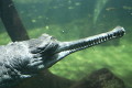 zoo praha zoo praha